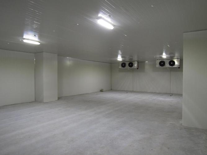 1701075119774255.jpg 3.jpg