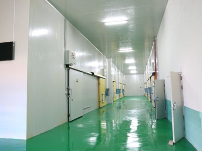 91麻豆产精品久久久久久.jpg 91麻豆产精品久久久久久.jpg